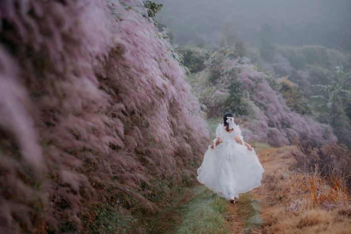 tips sống ảo mùa cỏ lau hồng Đà Lạt 