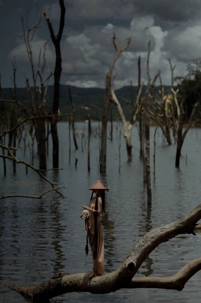 Rừng chết Măng Đen với vẻ ma mị của cây khô