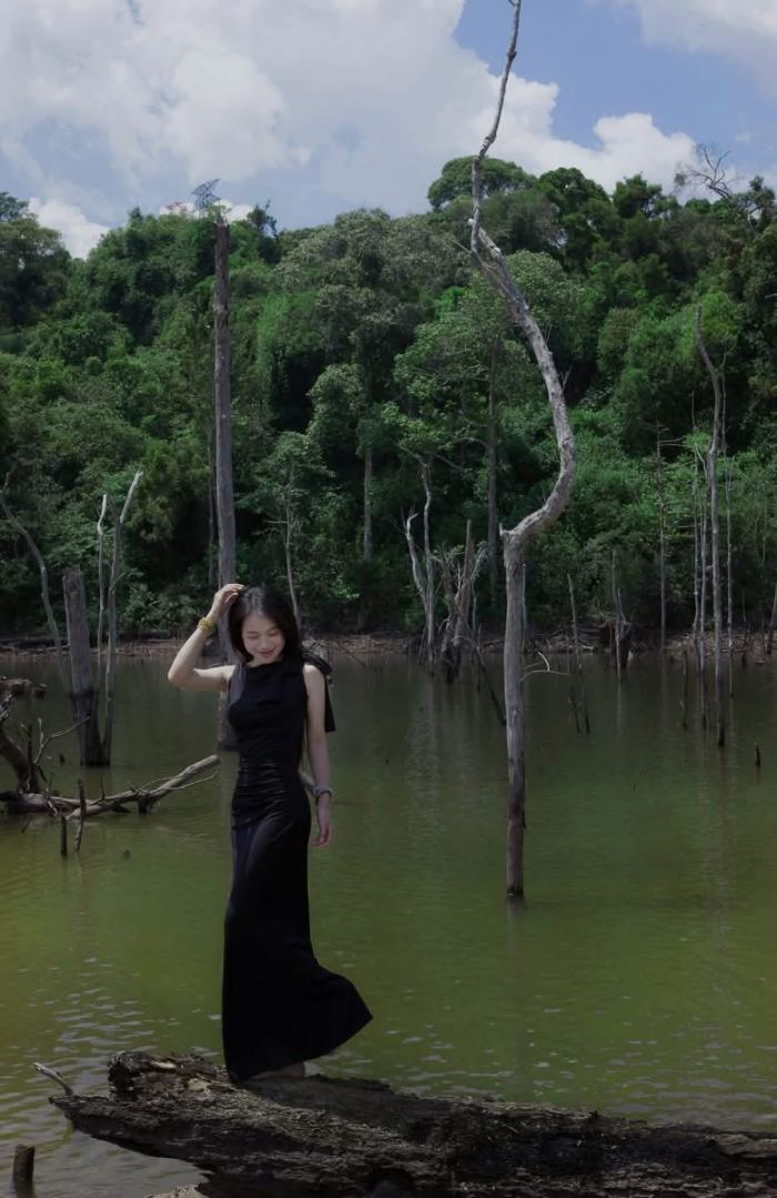 Khung cảnh rừng chết Măng Đen 