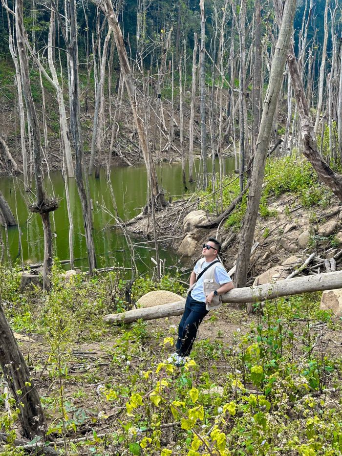 Du lịch Rừng chết Măng Đen từ tháng 11 đến tháng 3