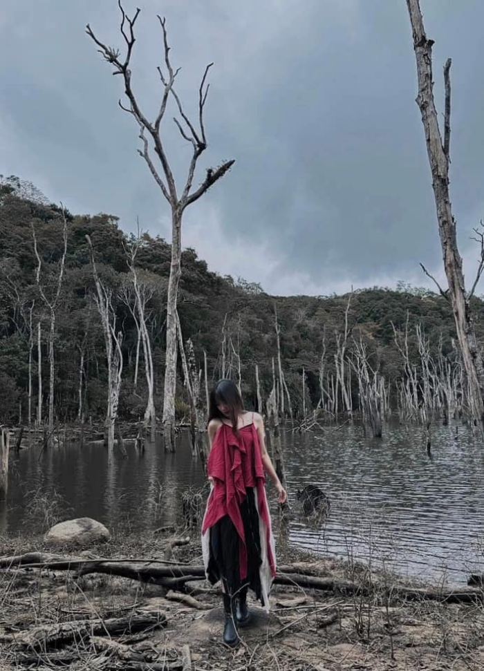 khám phá Rừng chết Măng Đen 