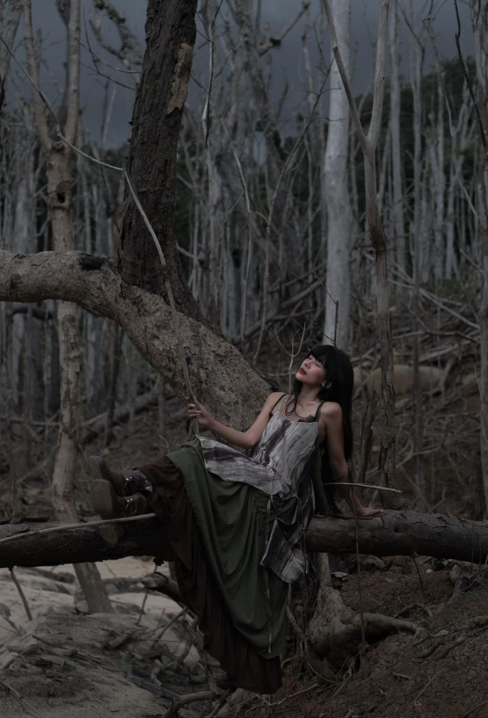 chụp ảnh nghệ thuật ở Rừng chết Măng Đen 