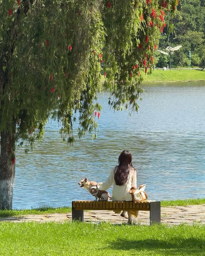 Đà Lạt là thành phố đáng sống nhất Việt Nam với khí hậu trong lành