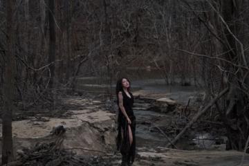 Rừng chết Măng Đen: Toạ độ check-in đẹp ma mị tựa phim viễn tưởng