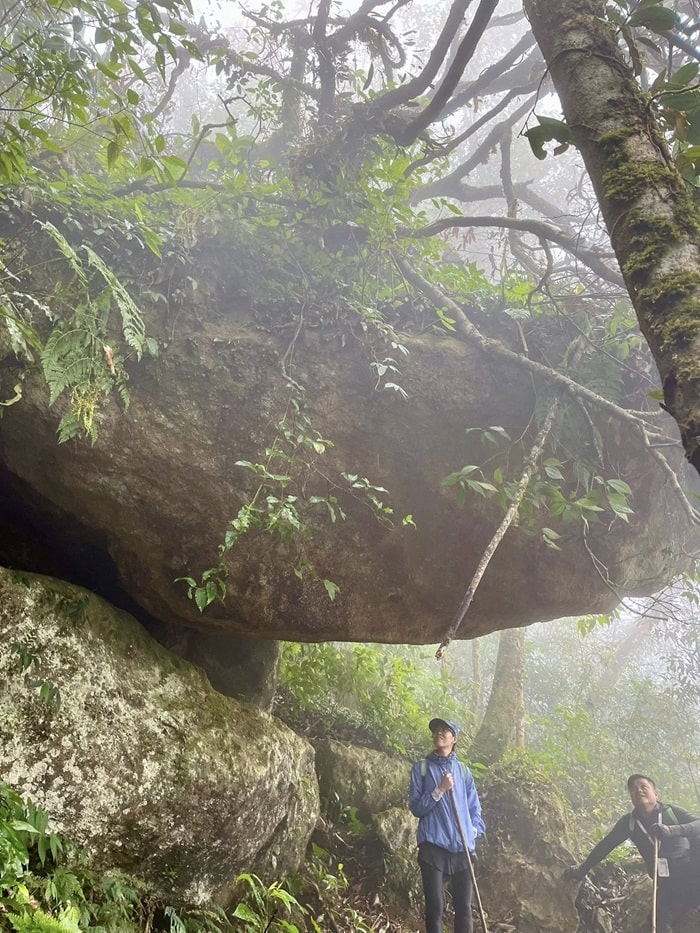 tour đi bộ xuyên rừng tại Thanh Hoá - trekking hòn Con Sói