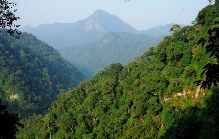 tour đi bộ xuyên rừng tại Thanh Hoá - trekking đỉnh Pù Gió