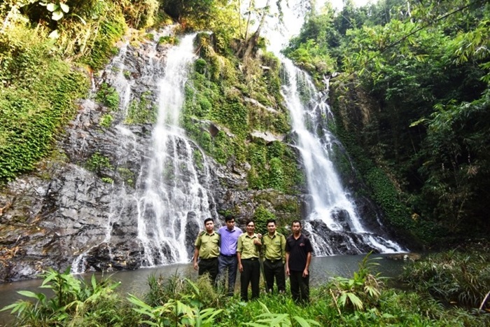 tour đi bộ xuyên rừng tại Thanh Hoá - trekking đỉnh Pù Hu - Cây di sản chò xanh