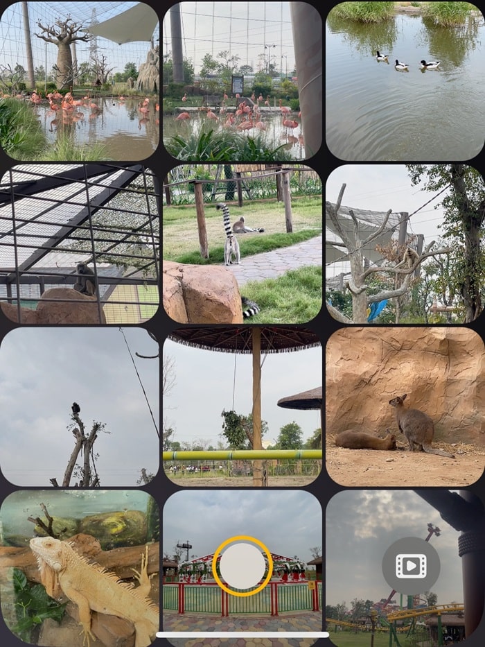 VinWonders Vũ Yên Hải Phòng - Vương quốc muông thú