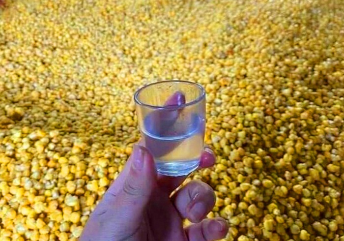 Nhâm nhi rượu ngô, đặc sản của Mộc Châu - Ảnh: Rượu