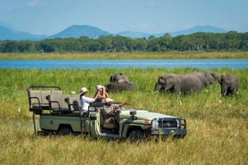 Chi phí du lịch châu Phi bao nhiêu? Hướng dẫn dự trù ngân sách