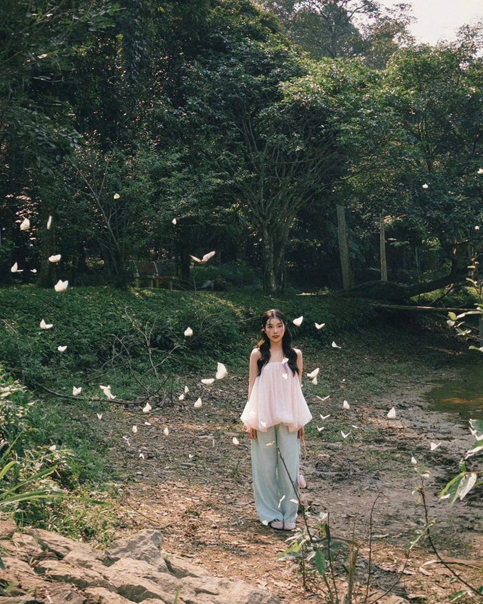 Đi Ninh Bình tháng mấy đẹp nhất? Hóa thân thành nàng thơ khám phá mùa bướm ở vườn quốc gia Cúc Phương - Ảnh: Du Lịch Việt Nam