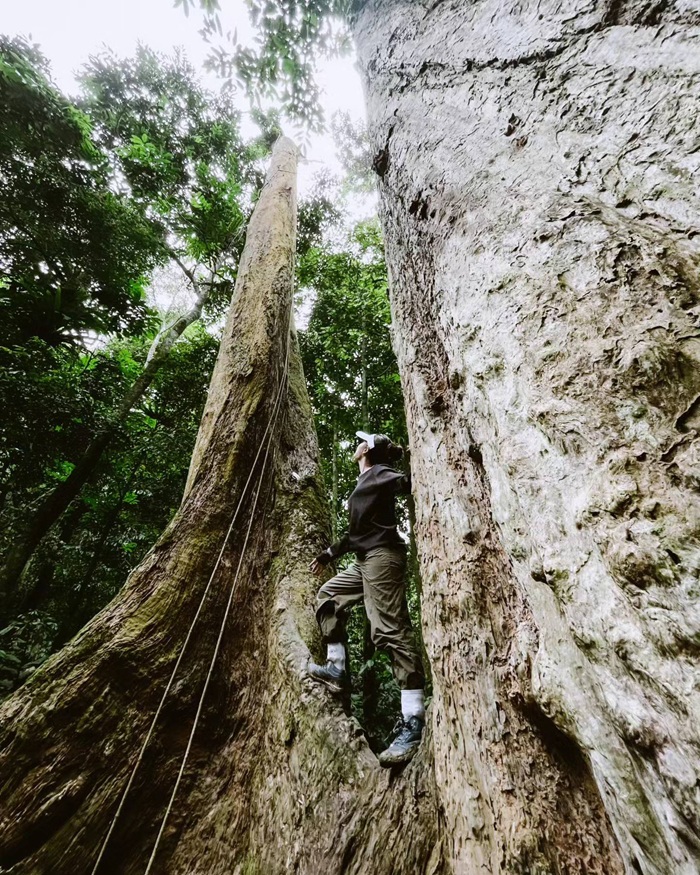 Chụp ảnh cùng cây chò ngàn năm - Ảnh: Facebook Kiên Trung Trần