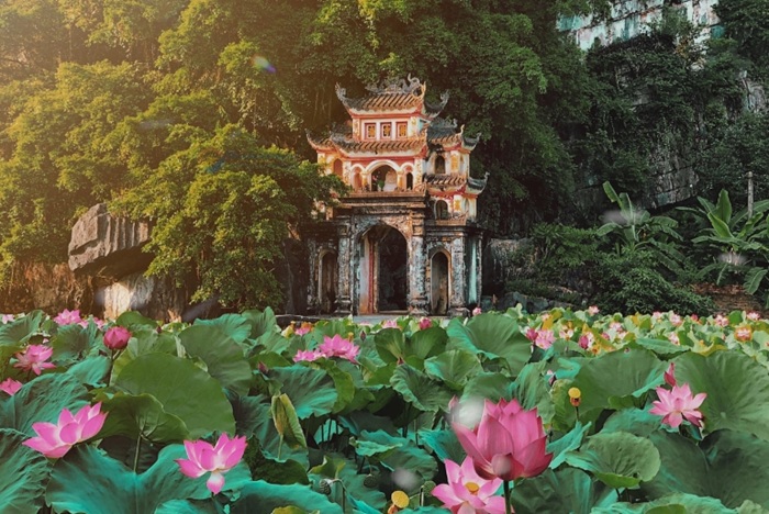 Khung cảnh hồ sen trước cổng vào chùa Bích Động đẹp mê ly - Ảnh: Thu Duc Travel