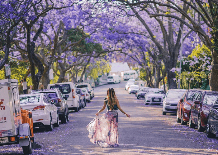 Lựa chọn thời tiết đẹp để khám phá châu Phi - Ảnh: Tiên Phong Travel