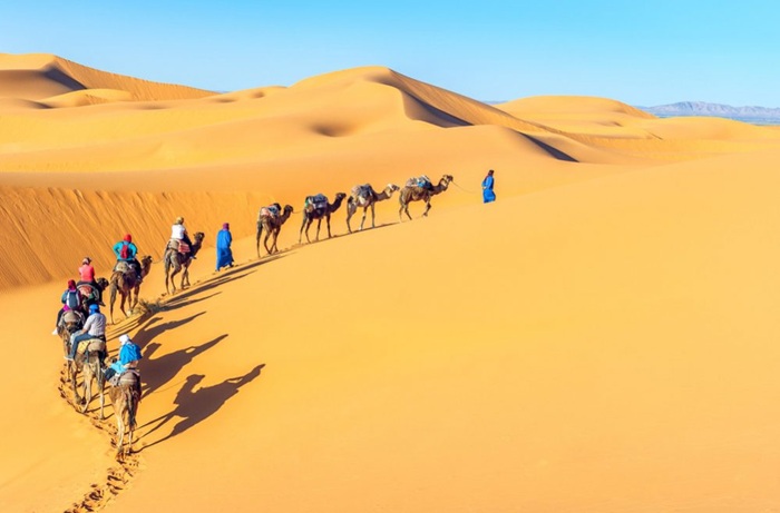 Du lịch châu Phi mùa nào đẹp nhất? Khám phá sa mạc Sahara từ tháng 11 tới tháng 3 - Ảnh: Vietfoot Travel