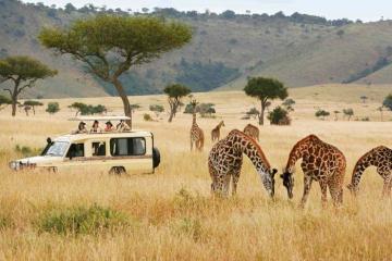 Du lịch châu Phi mùa nào đẹp nhất? Gợi ý thời điểm "vàng" khám phá lục địa đen