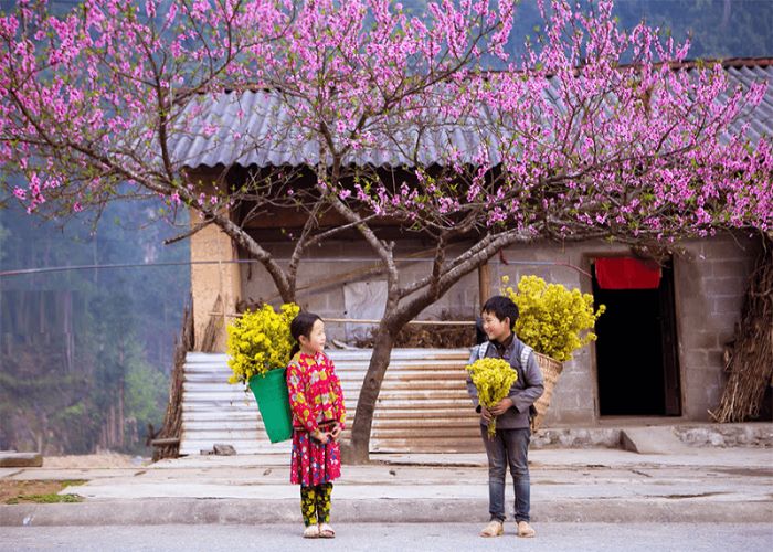 Mỗi mùa Hà Giang khoác lên một vẻ đẹp riêng - Ảnh: Xe khách Bằng Phấn