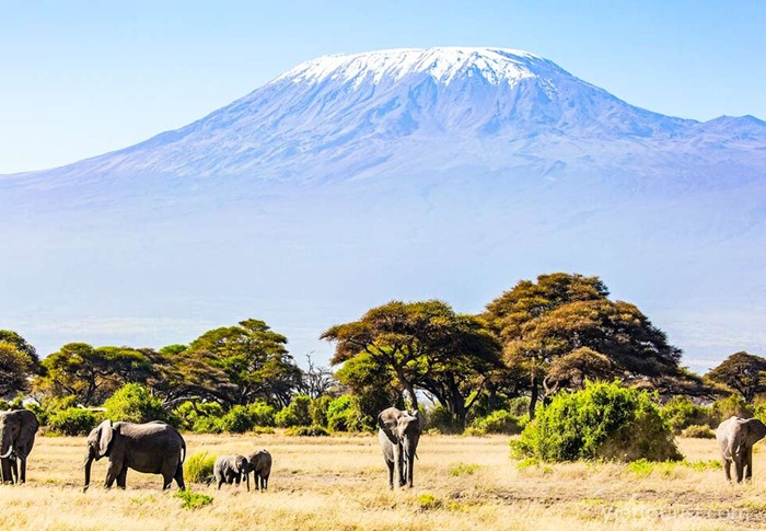 Núi Kilimanjaro được mệnh danh là nóc nhà châu Phi - Ảnh: Viettourist