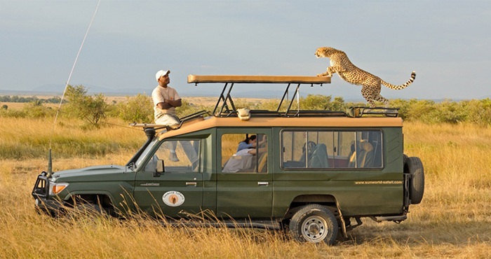Du khách tận mắt chứng kiến các loài vật hoang dã, đem đến khoảnh khắc đáng nhớ - Ảnh: Kt Safaris