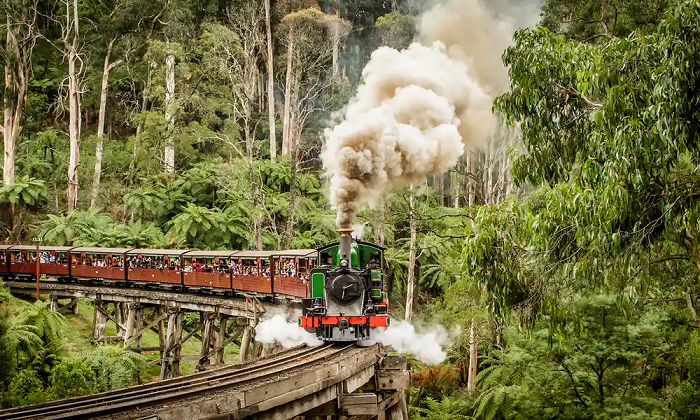 Puffing Billy là chuyến tàu hơi nước đi ngang qua khu rừng rậm của Úc - Ảnh: Internet