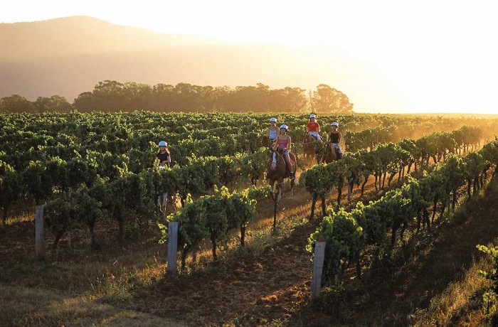 Tham quan thung lũng Hunter - Ảnh: Internet