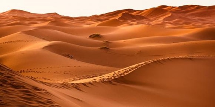 Kỳ quan thiên nhiên ở châu Phi phải kể tới sa mạc Sahara - Ảnh: Kinh Tế Môi Trường