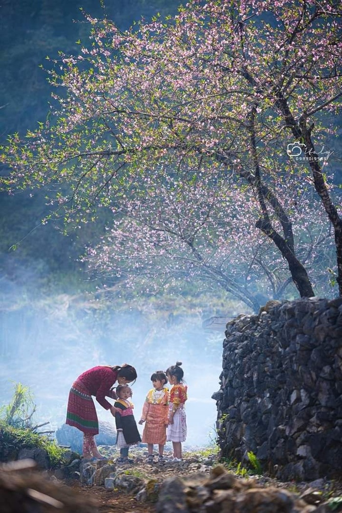 Mộc Châu mùa hoa đào - Ảnh: Ngân Ruby