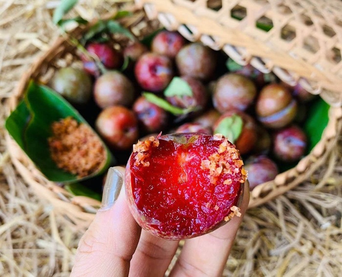 Chấm muối, ăn mận hậu ngay tại vườn - Ảnh: Lalago
