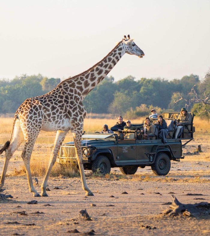 Trải nghiệm safari tại Nam Phi - Ảnh: Kingsfari