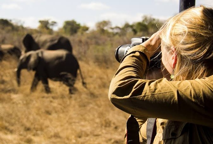 Nên đi Bắc Phi hay Nam Phi? Nam Phi mùa khô là thời điểm để khám phá safari - Ảnh: The Africa Specialists
