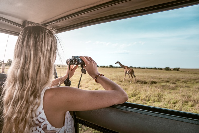 Thế giới safari ở Kenya - Ảnh: Africa Safari Trips