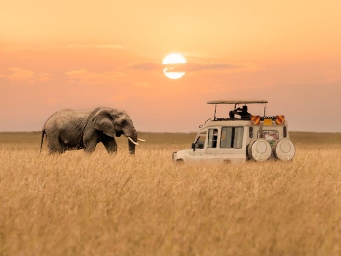 Nên đi Kenya hay Nam Phi? Ở Kenya, bạn nên đi theo tour để đảm bảo an toàn ở mức cao - Ảnh: Natuerlich Reisen