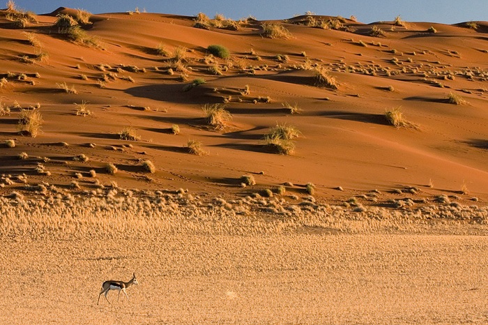 Ghé thăm sa mạc Namib ở Namibia - Ảnh: Kỷ Lục 