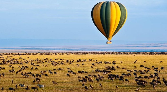 Ngắm vườn quốc gia Serengeti trên cao nhìn xuống từ khinh khí cầu - Ảnh: Tiền Phong Travel
