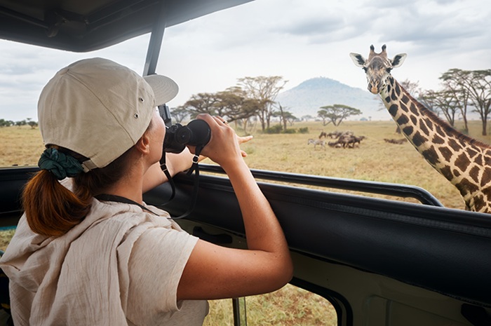 Ghé thăm safari nổi tiếng ở châu Phi bằng cách tham gia tour và ngồi trên xe chuyên dụng ngắm cảnh - Ảnh: Freedom Destinations