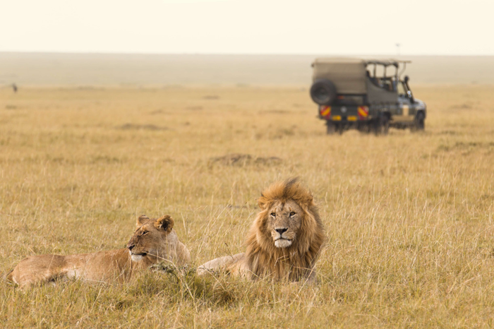 Quốc gia Maasai Mara (Kenya) nổi tiếng với loài báo, sư tử... Ảnh: Vietravel
