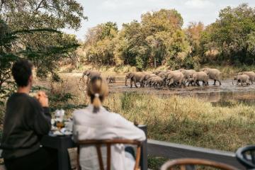 Khám phá safari nổi tiếng ở châu Phi