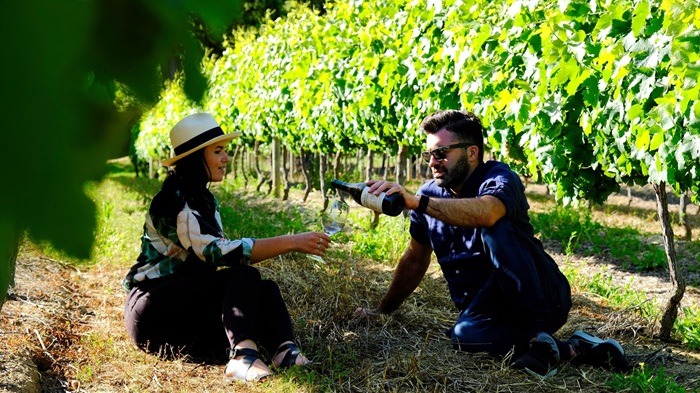 Ghé thăm vườn nho ở Cape Town - Ảnh: Cape Town Tourism