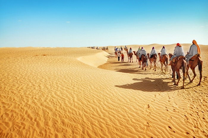 Cưỡi lạc đà băng qua sa mạc Sahara - Ảnh: Migola Travel