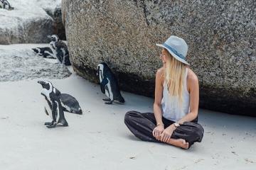Trải nghiệm ở Nam Phi: Từ safari hoang dã tới biển xanh quyến rũ
