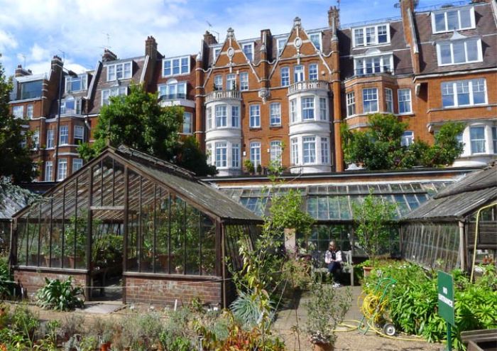 London có gì nổi tiếng - Nhiều loại hoa cỏ và thảo dược quý được trồng tại khu vườn Chelsea Physic Garden