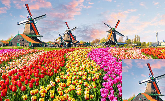 Du lịch Châu Âu mùa nào đẹp nhất - Du lịch Châu Âu mùa xuân bạn sẽ được chiêm ngưỡng vẻ đẹp của những đóa hoa anh đào nở rộ