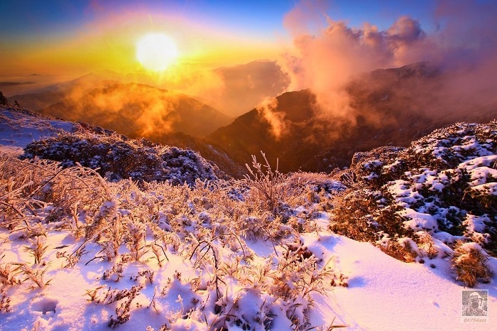 Du lịch Đài Loan mùa nào đẹp - Ngắm tuyết rơi tại Hehuanshan
