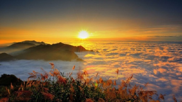 Du lịch Đài Loan mùa nào đẹp - Khu thắng cảnh Quốc gia Alishan