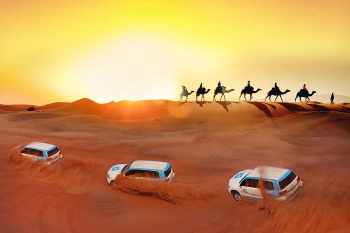 khám phá đêm sa mạc tại Dubai