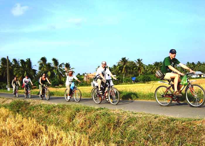 Nhiều du khách thích thú đạp xe đạp ngắm cảnh đường làng