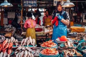 Đi Busan Trong Ngày, Đến Chợ Cá Jagalchi Market Thưởng Thức Hải Sản Tươi Ngon