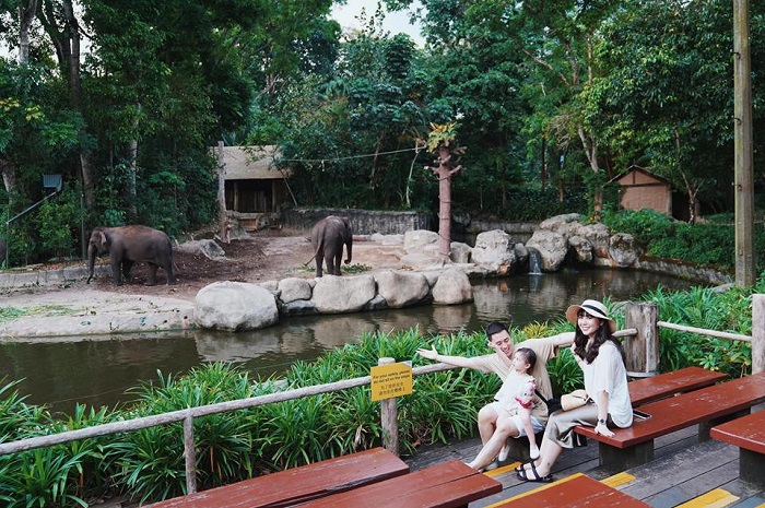 Tham Quan Singapore Zoo 1