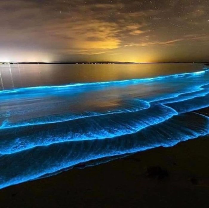 Trải nghiệm tại Maldives: chiêm ngưỡng bãi biển phát sáng