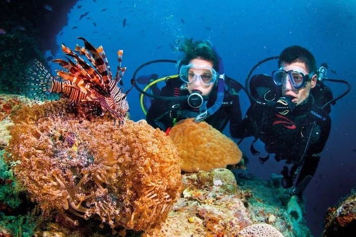 Trải nghiệm tại Maldives: lặn ngắm san hô